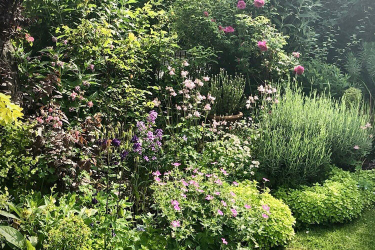 Planting Summer Perennials in London Gardens - Local Plant Delivery Service Planting Summer Perennials in London Gardens - Local Plant Delivery Service