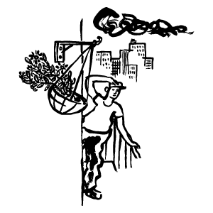 hanging plants