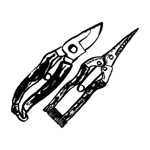 secateurs